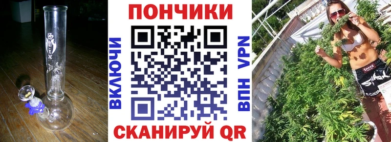 Каннабис план  Карачаевск 